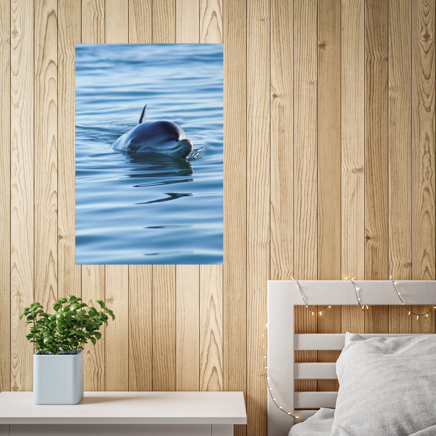 Monkey Mia Dolphin Poster